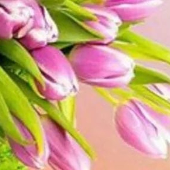 Meet your Posher, Dina - Picture 1 of 1